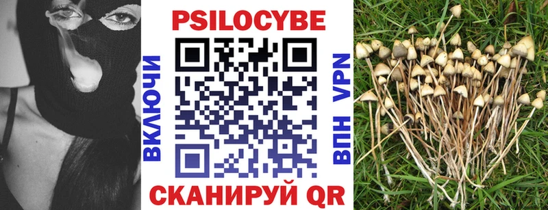 наркота  Стародуб  Галлюциногенные грибы мицелий 
